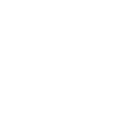 VISA-consultation-