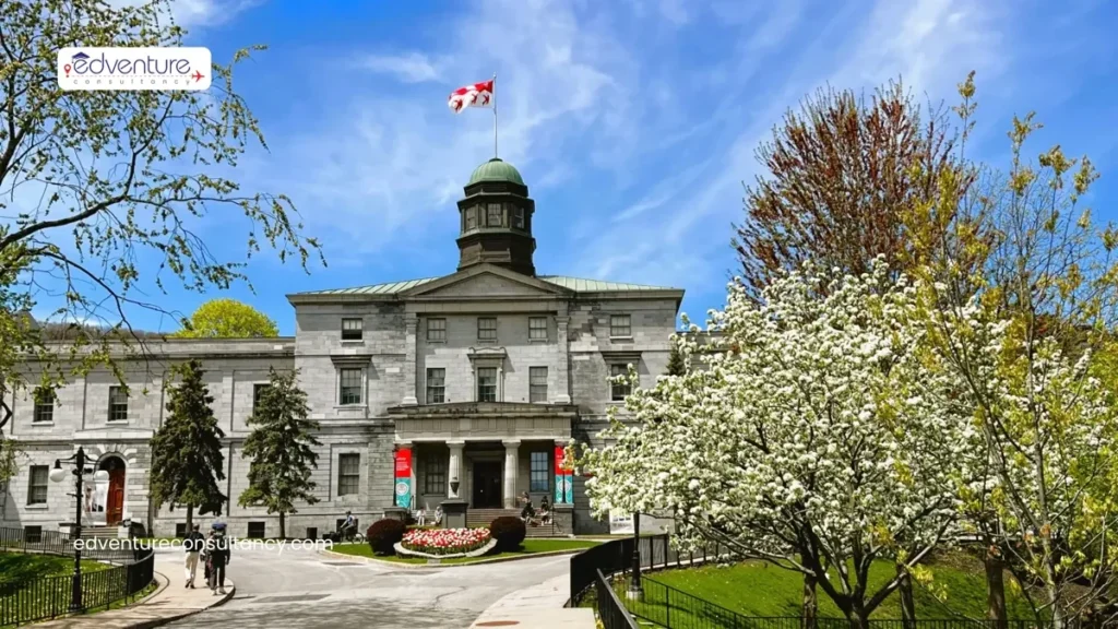 McGill University in canada